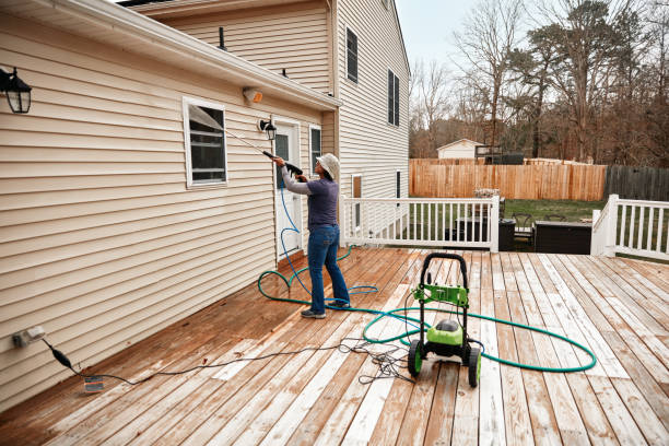 Best Pressure Washing Patio  in Burgaw, NC