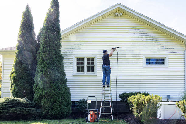 Professional Pressure Washing in Burgaw, NC